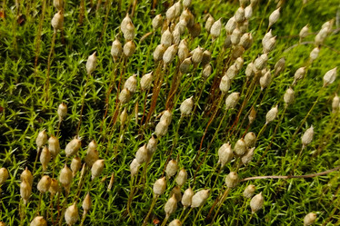 Similar image 21778076