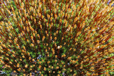 Similar image 21778077