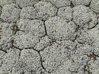 Similar image 21778078