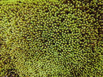 Similar image 21778079