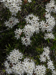 Similar image 21778080