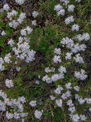 Similar image 21778081