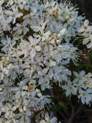 Similar image 21778082