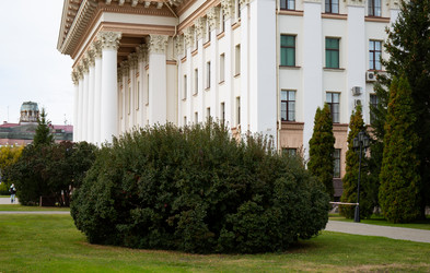 Similar image 21779689