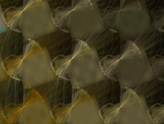 Similar image 21785569