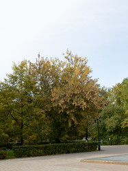 Similar image 21779465