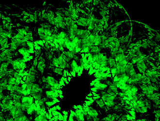 Similar image 21784448