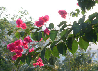 Similar image 21778732