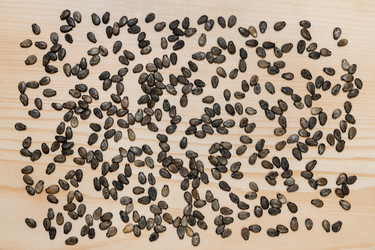 Similar image 21778963