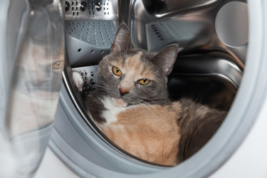 Similar image 21779724