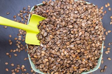 Similar image 21778967