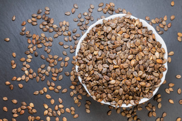 Similar image 21779726