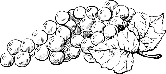 Similar image 21780221