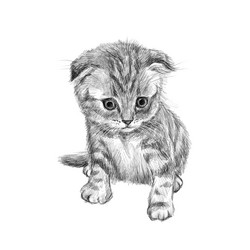 Similar image 21779815