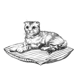 Similar image 21779819