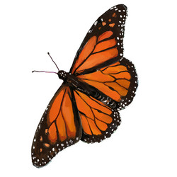 Similar image 21779826