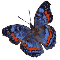 Similar image 21779830