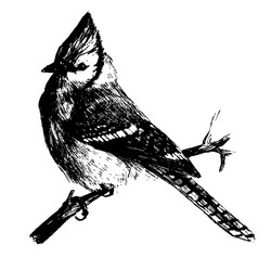 Similar image 21779832