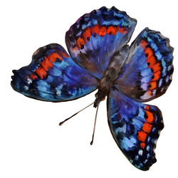 Similar image 21779839