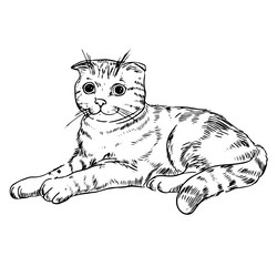 Similar image 21780052