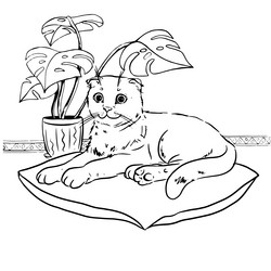 Similar image 21780054