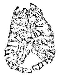 Similar image 21780060