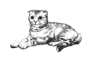 Similar image 21780080