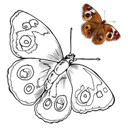 Similar image 21780081