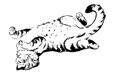 Similar image 21780085