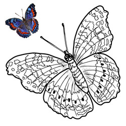 Similar image 21780237