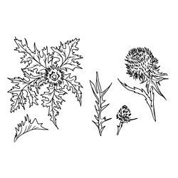 Similar image 21780295