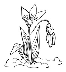 Similar image 21779848