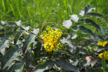 Similar image 21778973