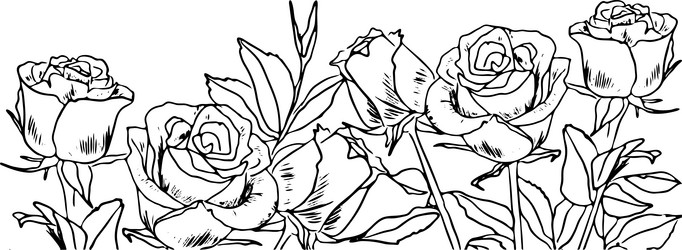 Similar image 21779886