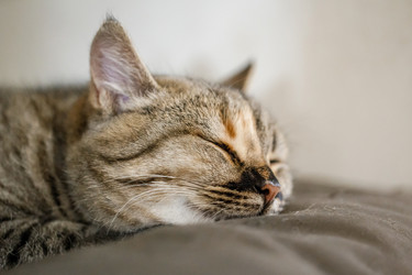 Similar image 21782259