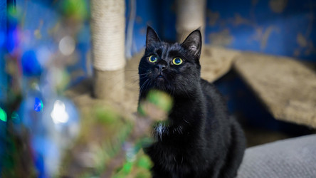 Similar image 21782264