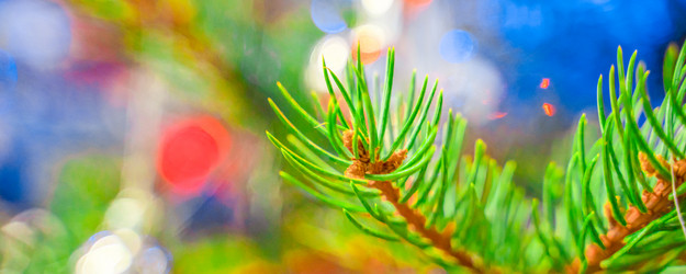 Similar image 21782266