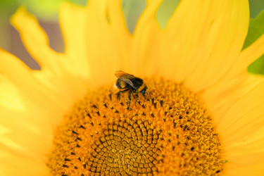 Similar image 21782268