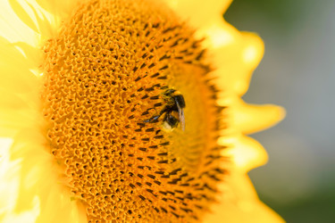 Similar image 21782269