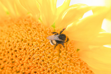 Similar image 21782271