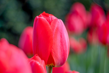 Similar image 21782275