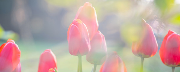 Similar image 21782277