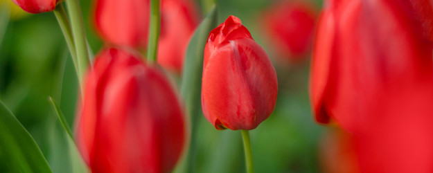 Similar image 21782278