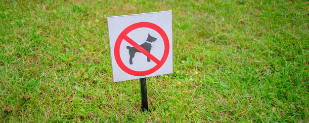 Similar image 21782283