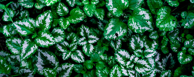 Similar image 21782290