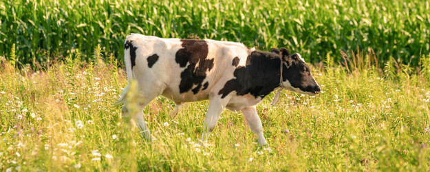 Similar image 21782292