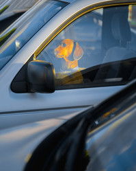 Similar image 21782294