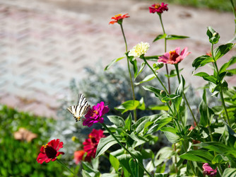 Similar image 21779314