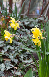 Similar image 21779316