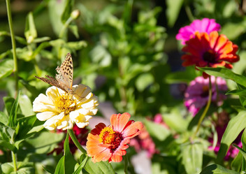 Similar image 21779317